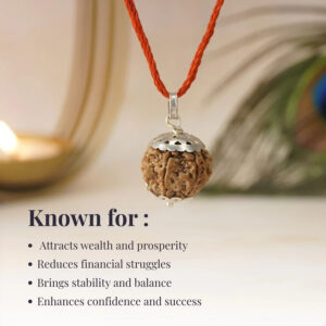 7 Mukhi Nepali Rudraksha - Image 4