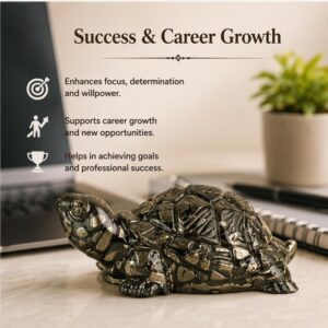 Pyrite Tortoise - Image 3