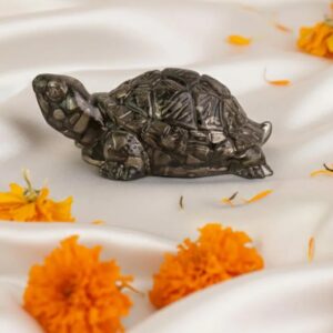 Pyrite Tortoise - Image 2