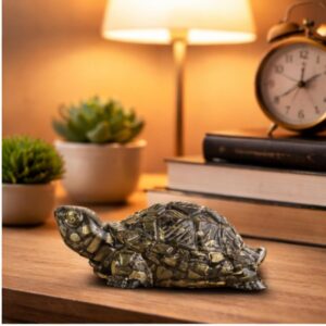 Pyrite Tortoise - Image 7