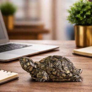 Pyrite Tortoise - Image 8