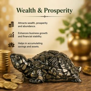 Pyrite Tortoise - Image 6