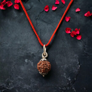 7 Mukhi Nepali Rudraksha - Image 1
